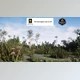 Download Unreal engine - Baygall Habitat Brush v5.3