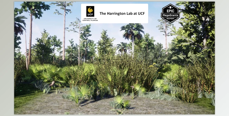 Download Unreal engine - Wet Flatwoods Habitat Brush v5.3