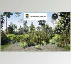Download Unreal engine - Wet Flatwoods Habitat Brush v5.3