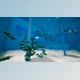 Download Unreal engine - Fish A.I – Fish School System V2 v5.0