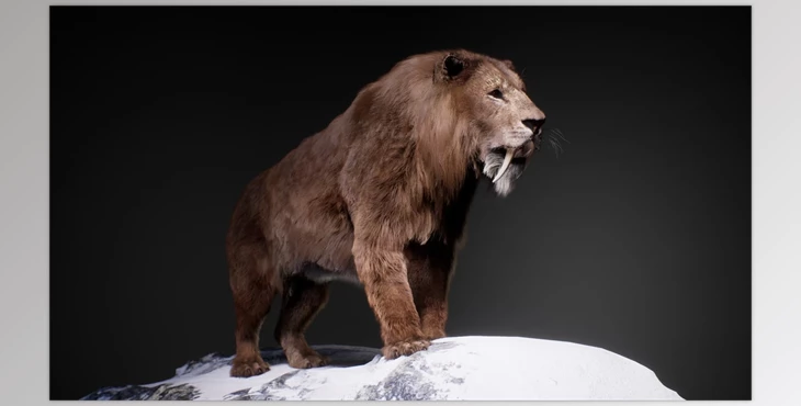 Download Unreal engine - The Sabertooth v5.1
