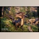 Download Unity asset - Dragons – Fantasy RPG – Customizable Dragon Pack v4.0.1