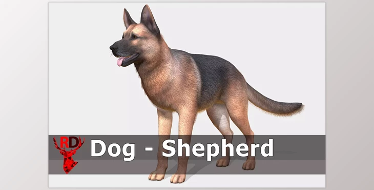 Download Unity asset - Dog – Shepherd v3.0