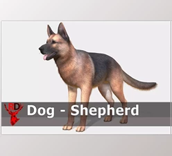Download Unity asset - Dog – Shepherd v3.0