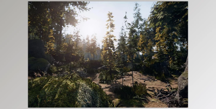 Download Unity Asset - C.V.P - Pine Woods v3.0