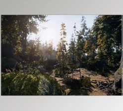 Download Unity Asset - C.V.P - Pine Woods v3.0