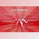 Download Unity Asset - Legs Animator v1.0.1