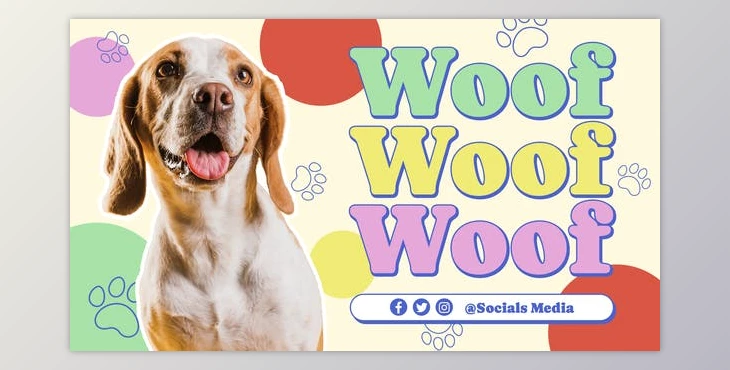 Download Pet Care Promo (Videohive 51273108) - AE Project