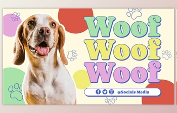 Download Pet <span class='badge badge-warning'>Care</span> Promo (Videohive 51273108) - AE Project