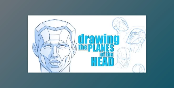 Download How to Draw the Planes of the Head