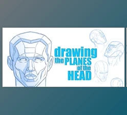 Download How to Draw the Planes of the Head