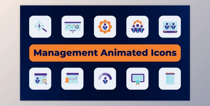 Download Management Animated Icons (Videohive 51519097) - AE Project