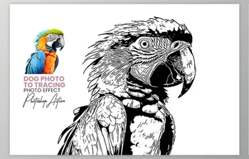 Download Animal Photo to <span class='badge badge-warning'>Tracing</span> - 92455981