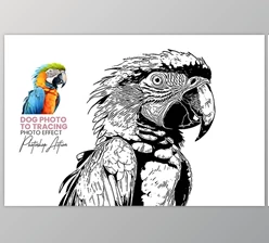 Download Animal Photo to Tracing - 92455981