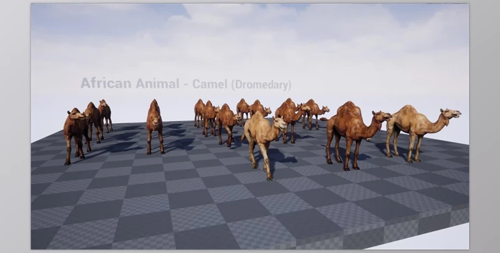 Download Unreal Engine - African Animal – Camel (Dromedary) v4.27