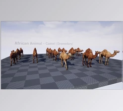 Download Unreal Engine - African Animal – Camel (Dromedary) v4.27