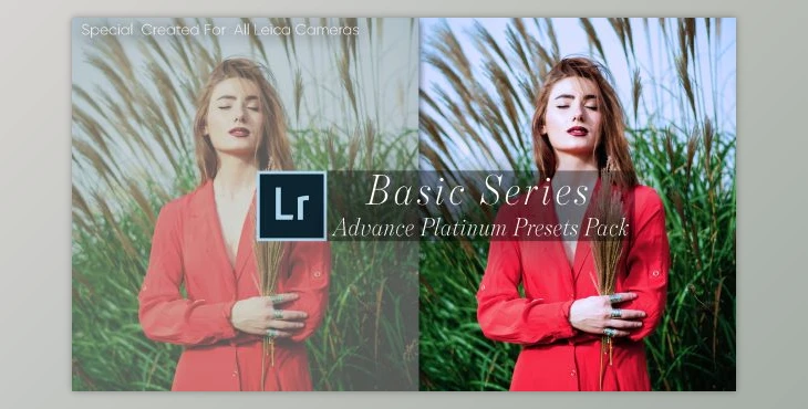 Download Lieca Review – Advance Platinum Lightroom Presets Pack