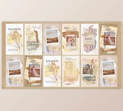Download Wedding Invitation Collage Vertical Reel (Videohive 51212393) - AE Project