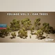 Download Unreal engine - Foliage VOL.3 - Oak Trees v5.3