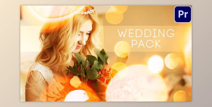 Download Wedding Titles (Videohive 42791700) - PR Project