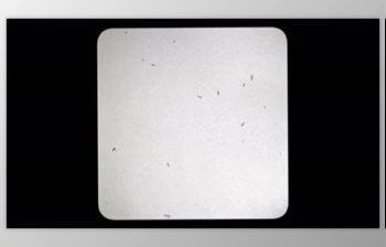 Download Reel <span class='badge badge-warning'>Clutter</span> Old film tape frame (Videohive 31653616)