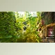 Download Unreal engine - UIPF - Unified Interactive Physical Foliage v5.3