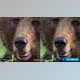 Download ON1 Nonoise AI V2024.5 v18.5.1.15726 (WIN, MAC)
