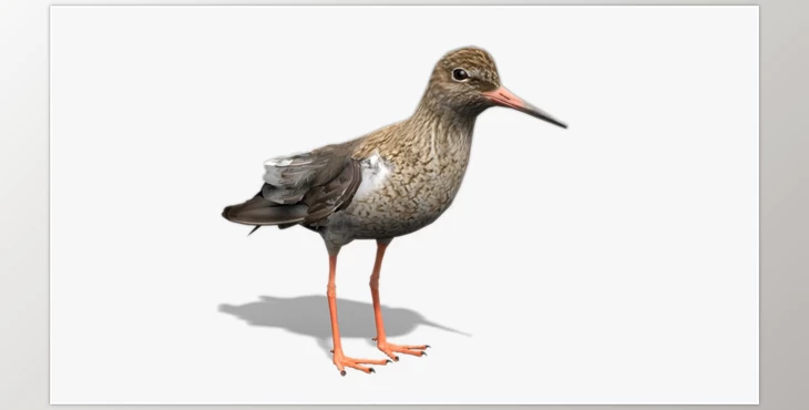 Download Unreal engine - Redshank v5.2