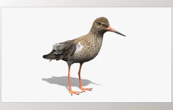 Download <span class='badge badge-warning'>Unreal</span> <span class='badge badge-warning'>engine</span> - Redshank v5.2