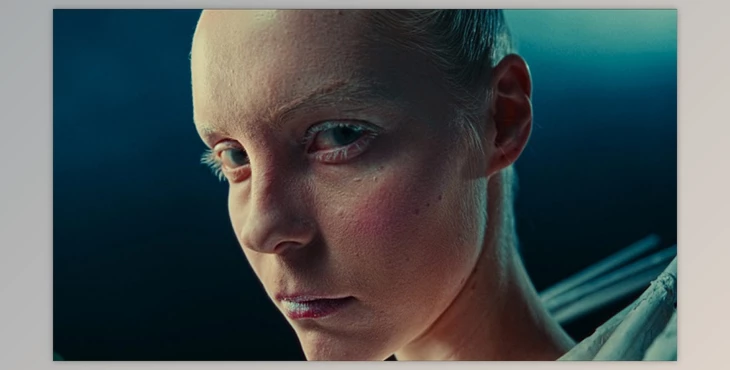 Download Colorist Factory - Precision Crafted Film Emulation Lut