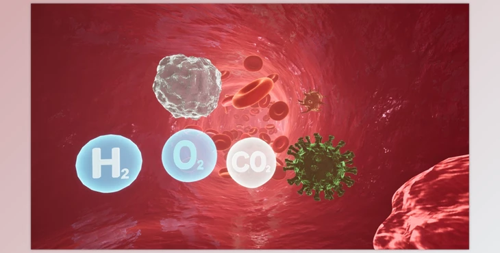 Download Unreal engine - Blood Circulation v5.0