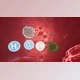 Download Unreal engine - Blood Circulation v5.0