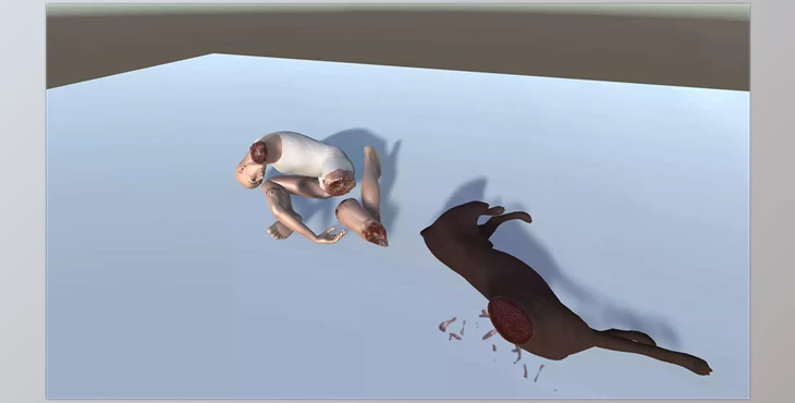 Download Unity Asset - Ragdoll Dismemberment System V2.1