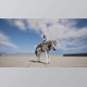 Download Unreal engine - Advanced Riding Locomotion System v1.5.1 (Engine version 5.3)