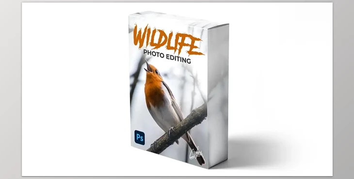 Download Zenja Gammer – Wildlife Photo Editing Course