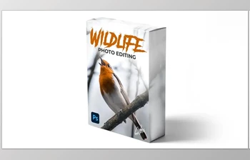 Download Zenja Gammer – Wildlife Photo Editing <span class='badge badge-warning'>Course</span>