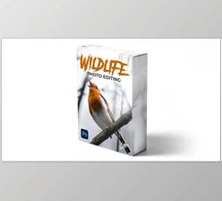 Download Zenja Gammer – Wildlife Photo Editing Course