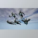 Download Unreal engine - Superhero Flight Animations v5.0