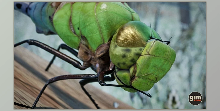 Download Unreal Engine - Characters Animalia - Green Darner Dragonfly (Engine version 4.24-4.27, 5.0-5.2)