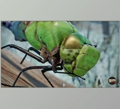 Download Unreal Engine - Characters Animalia - Green Darner Dragonfly (Engine version 4.24-4.27, 5.0-5.2)