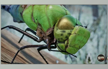 Download Unreal Engine - <span class='badge badge-warning'>Characters</span> Animalia - Green Darner Dragonfly (Engine version 4.24-4.27, 5.0-5.2)