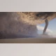 Download Unreal Engine - Sandstorm FX v5.0