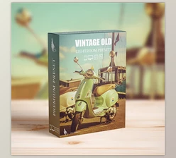 Download Vintage Retro Kodak Film Look Lightroom Presets Pack - Achieve Classic Film Emulation - 51458949
