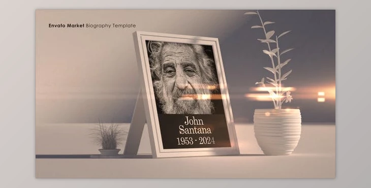 Download Biography (Videohive 51777287) - AE Project