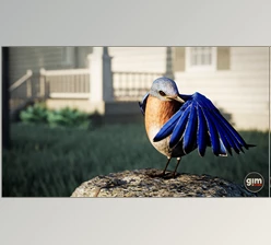 Download Unreal Engine Characters Animalia - Bluebird v4.20-4.27, 5.0-5.3