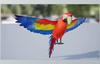 Download Unreal Engine - <span class='badge badge-warning'>Medhue</span> Parrot (Engine version 4.26- 4.27, 5.0- 5.2)