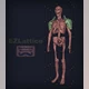 Download Blender - Easy Lattice Modifier v1.0.1