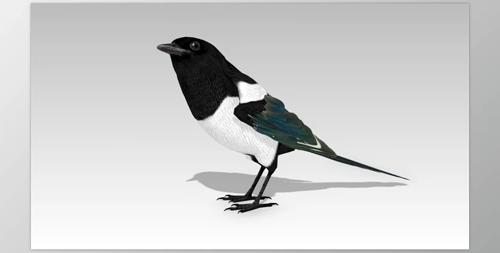 Download Unreal Engine - Magpie v5.1