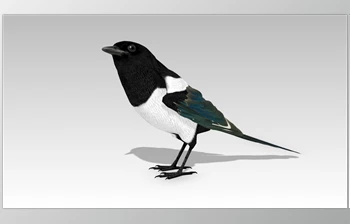 Download <span class='badge badge-warning'>Unreal</span> <span class='badge badge-warning'>Engine</span> - Magpie v5.1